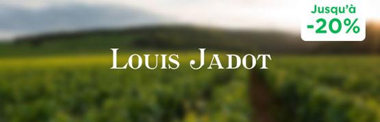 Saint-Aubin, discreet neighbor of the great Chassagne-Montrachet