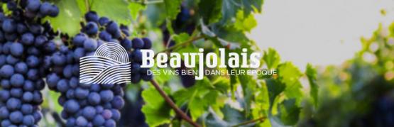 Beaujolais, wines of our time
