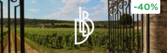Pernand-Vergelesses: the hidden treasure of the Côte de Beaune