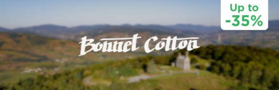 From Moulin-à-Vent to Brouilly, the excellence of Beaujolais wines