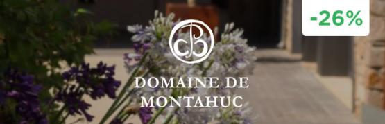 Languedoc nuggets under €11