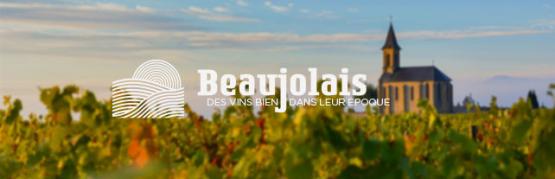 Beaujolais terroirs
