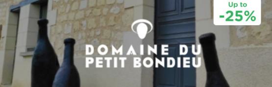 Rediscover Bourgueil in a new way !