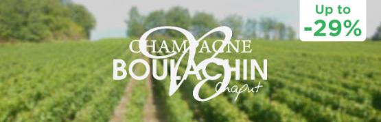 Exceptional champagnes for less than 20€ !