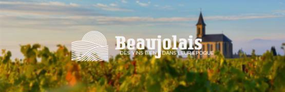 The charm of a French wine