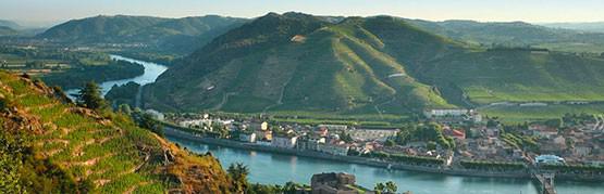 The most affordable Côte-Rotie in the world