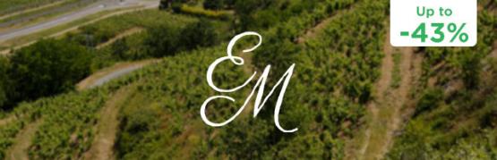 Santenay, Pommard, Beaune: the excellence of the 1st Growths of Burgundy within reach