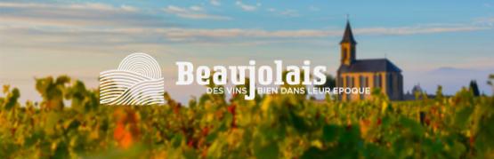 Divine landscapes for fragrant wines !