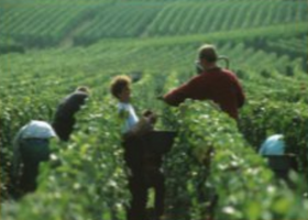 Maison Rigot Caillez