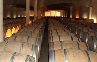 Maison Gérard Bertrand - Château Aigues Vives