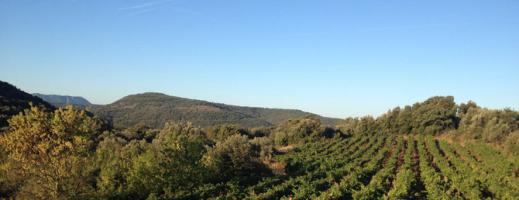 Domaine Le clos Rouge