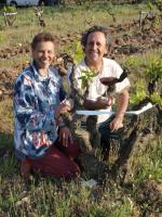 Balazu des Vaussieres