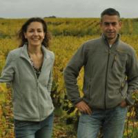 Vignoble Alain Robert