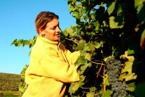 Domaine de Cantarelle