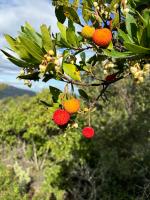 LA FERME DU VALLON SECRET