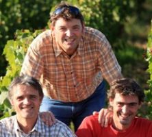 Vignoble DAMPT Frères