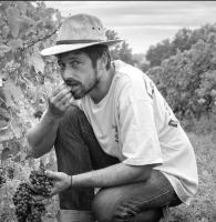 Château les Millards