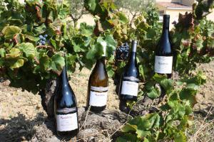 Domaine Beau Mistral