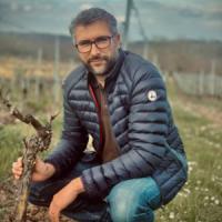 Château Les Mailleries • Vignobles Fabien Castaing