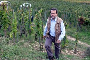 Maison M.Chapoutier - Domaine Schieferkopf