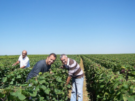 Domaine du Palais - Michel Saban