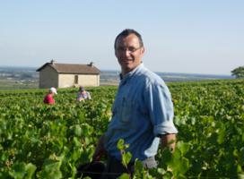 Domaine Vincent Bouzereau