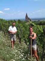 Domaine Mittnacht-Frères