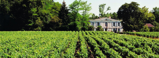 Vins & Domaines Richard