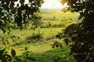Château Ferrand Lartigue