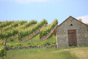 Union des Vignerons de Saint-Pourcain
