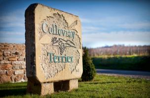 Collovray et Terrier