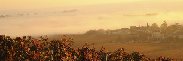 Domaine Denis Berthaut