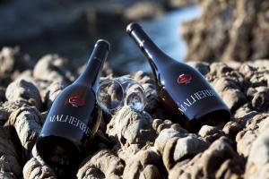 CHATEAU MALHERBE - BIO