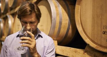 Delicato Family Vineyards