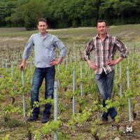 Champagne Henri David-Heucq