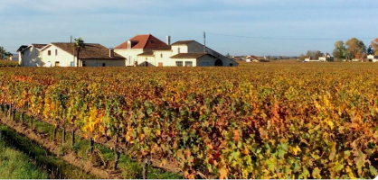 Château Petit-Gravet