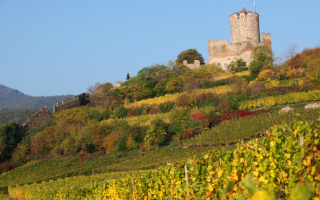 Domaine Léon Heitzmann
