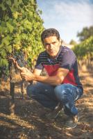 Vignobles Dubois & Fils - Château les Bertrands