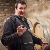 Domaine François Carillon