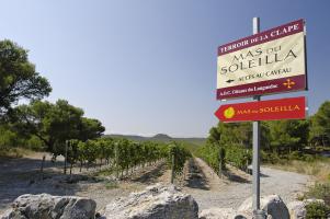 Mas du Soleilla