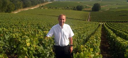 Champagne Pol Cochet