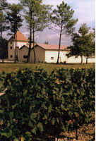 Château Lafon (Listrac-Médoc)