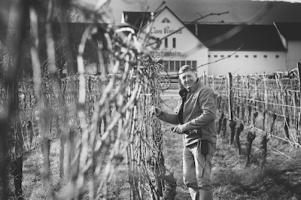 La Cave des Vignerons de Pfaffenheim
