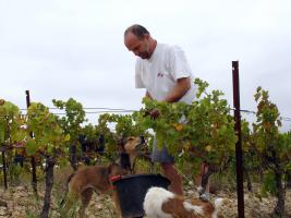 LES TERRES DE MALLYCE.  Agriculture Biologique