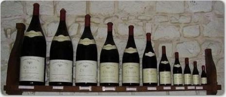 Domaine du Moulin à Tan