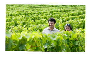 Virginie & Mathieu Molinié - Château Ponzac