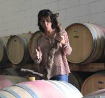 Château Clos Saint-Emilion Philippe