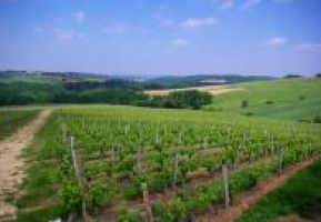 Famille THERASSE - Château Sauvagnères