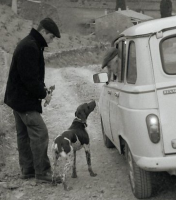 Les 4L de la Méditerranée