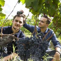 Château des Matards • Vignobles Terrigeol